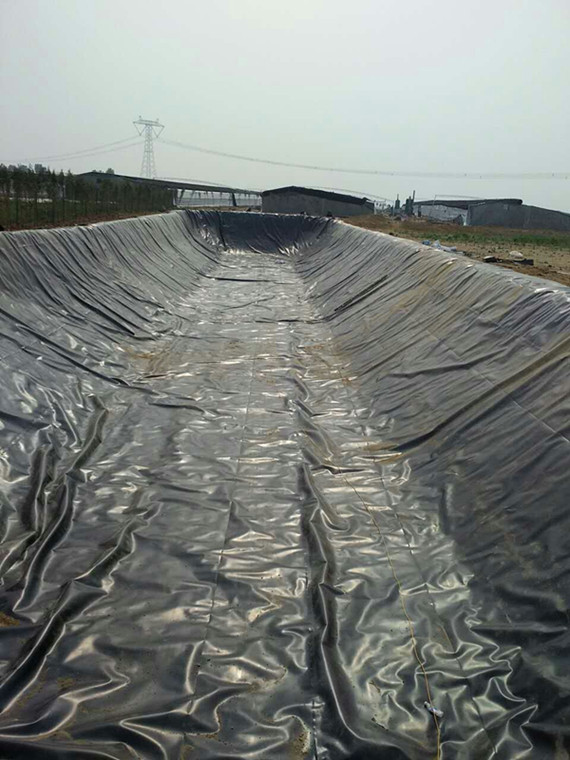 养殖厂废液防渗池案例